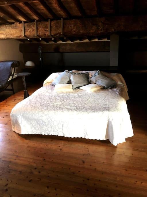 Romantic Studio In The Historical Heart Of פאדובה מראה חיצוני תמונה